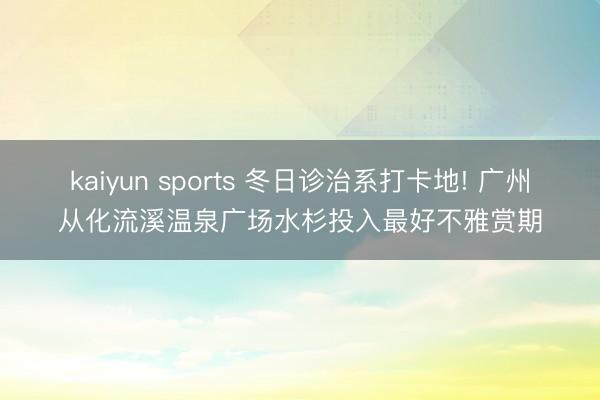 kaiyun sports 冬日诊治系打卡地! 广州从化流溪温泉广场水杉投入最好不雅赏期