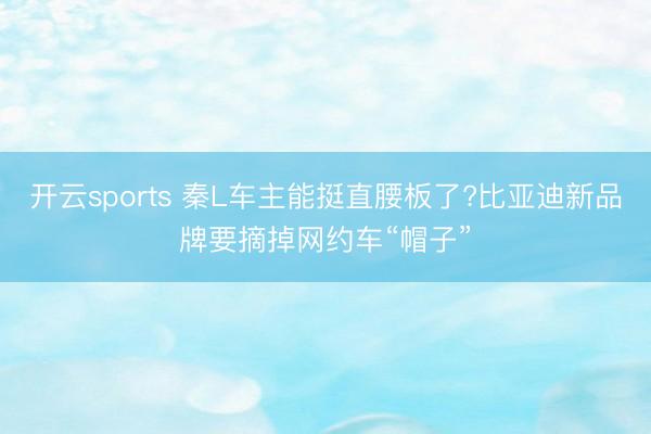 开云sports 秦L车主能挺直腰板了?比亚迪新品牌要摘掉网约车“帽子”