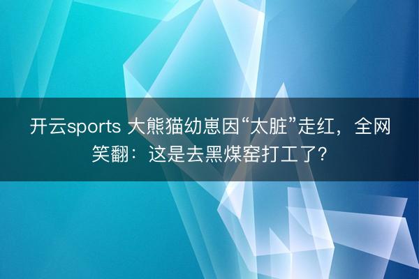 开云sports 大熊猫幼崽因“太脏”走红，全网笑翻：这是去黑煤窑打工了？