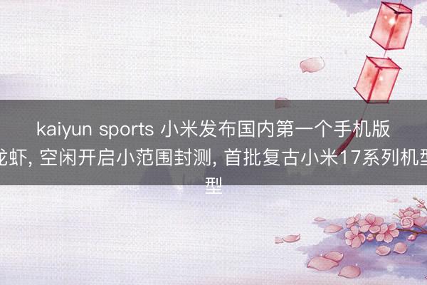 kaiyun sports 小米发布国内第一个手机版龙虾, 空闲开启小范围封测, 首批复古小米17系列机型