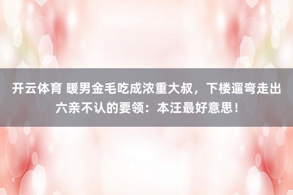 开云体育 暖男金毛吃成浓重大叔，下楼遛弯走出六亲不认的要领：本汪最好意思！