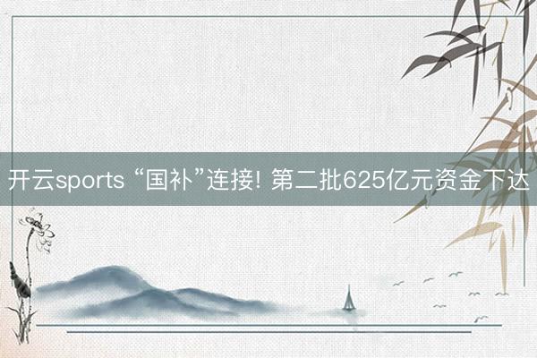 开云sports “国补”连接! 第二批625亿元资金下达