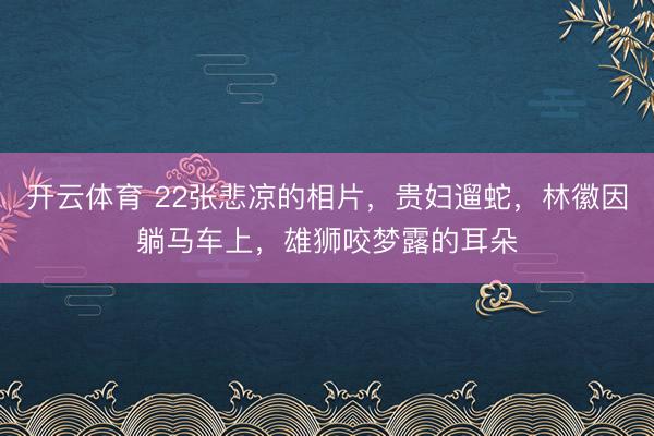 开云体育 22张悲凉的相片，贵妇遛蛇，林徽因躺马车上，雄狮咬梦露的耳朵