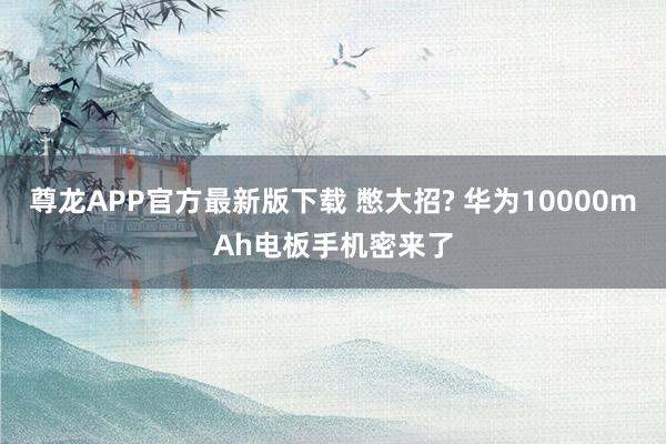 尊龙APP官方最新版下载 憋大招? 华为10000mAh电板手机密来了