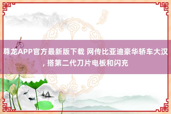 尊龙APP官方最新版下载 网传比亚迪豪华轿车大汉， 搭第二代刀片电板和闪充