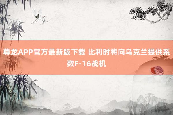 尊龙APP官方最新版下载 比利时将向乌克兰提供系数F-16战机