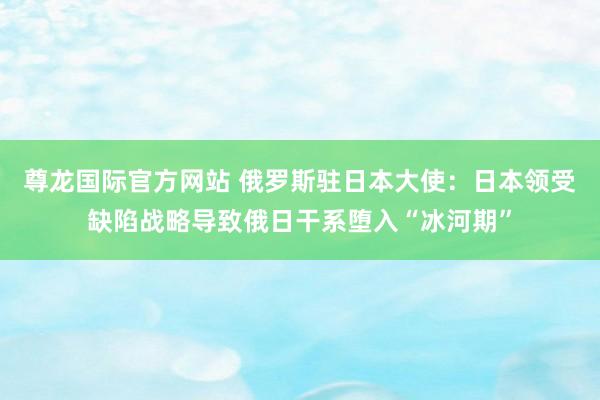 尊龙国际官方网站 俄罗斯驻日本大使:日本领受缺陷战略导致俄日干系堕入“冰河期”
