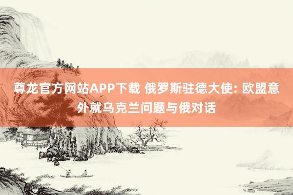 尊龙官方网站APP下载 俄罗斯驻德大使: 欧盟意外就乌克兰问题与俄对话