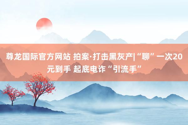 尊龙国际官方网站 拍案·打击黑灰产|“聊”一次20元到手 起底电诈“引流手”