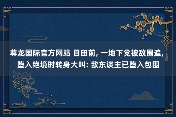 尊龙国际官方网站 目田前, 一地下党被敌围追, 堕入绝境时转身大叫: 敌东谈主已堕入包围