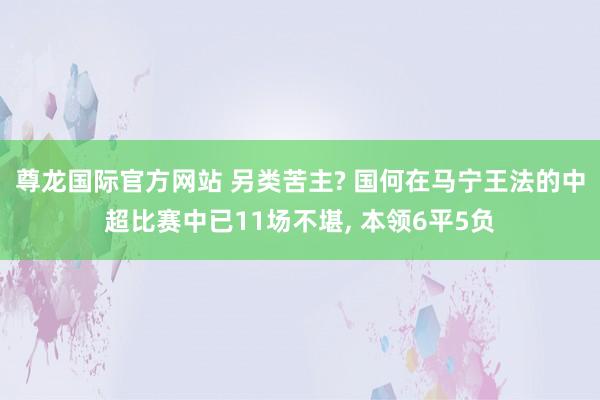 尊龙国际官方网站 另类苦主? 国何在马宁王法的中超比赛中已11场不堪, 本领6平5负