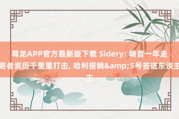 尊龙APP官方最新版下载 Sidery: 畴昔一年走路者资历千里重打击， 哈利报销&5号签送东谈主