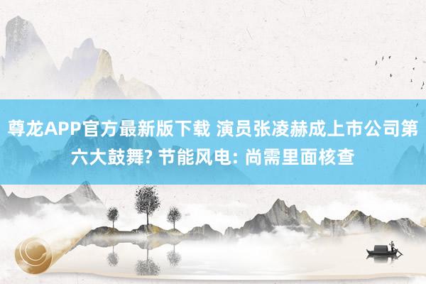 尊龙APP官方最新版下载 演员张凌赫成上市公司第六大鼓舞? 节能风电: 尚需里面核查