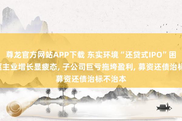 尊龙官方网站APP下载 东实环境“还贷式IPO”困境: 中枢主业增长显疲态, 子公司巨亏拖垮盈利, 募资还债治标不治本