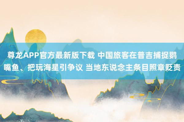 尊龙APP官方最新版下载 中国旅客在普吉捕捉鹦嘴鱼、把玩海星引争议 当地东说念主条目照章贬责