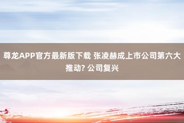 尊龙APP官方最新版下载 张凌赫成上市公司第六大推动? 公司复兴