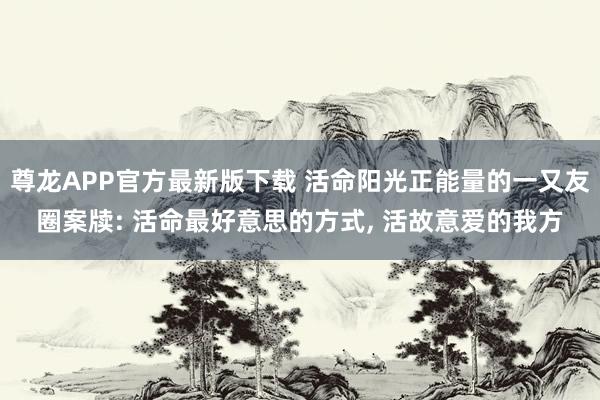 尊龙APP官方最新版下载 活命阳光正能量的一又友圈案牍: 活命最好意思的方式, 活故意爱的我方