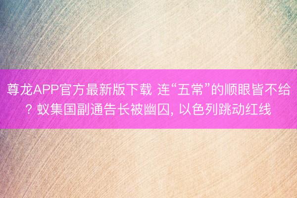 尊龙APP官方最新版下载 连“五常”的顺眼皆不给? 蚁集国副通告长被幽囚, 以色列跳动红线