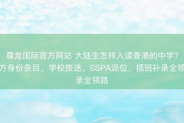 尊龙国际官方网站 大陆生怎样入读香港的中学?官方身份条目、学校旅途、SSPA派位、插班补录全领路