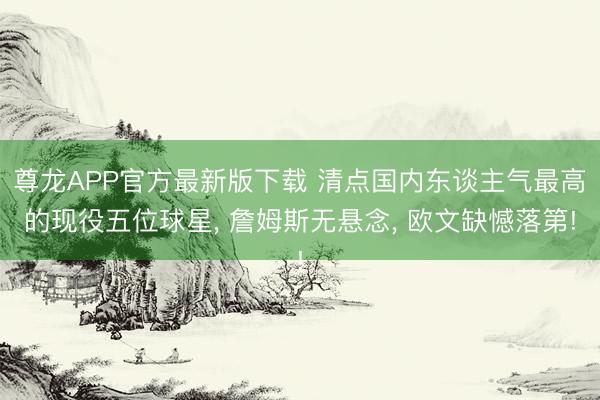 尊龙APP官方最新版下载 清点国内东谈主气最高的现役五位球星, 詹姆斯无悬念, 欧文缺憾落第!