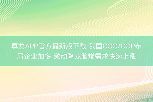 尊龙APP官方最新版下载 我国COC/COP布局企业加多 激动降龙脑烯需求快速上涨