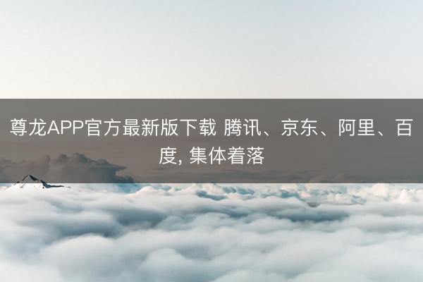 尊龙APP官方最新版下载 腾讯、京东、阿里、百度, 集体着落