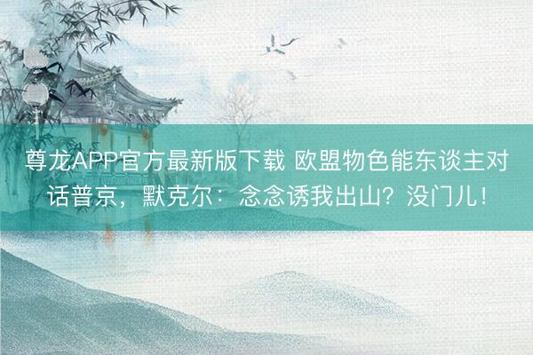 尊龙APP官方最新版下载 欧盟物色能东谈主对话普京,默克尔:念念诱我出山?没门儿!