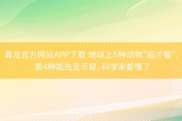 尊龙官方网站APP下载 地球上5种动物“超才智”, 第4种能先见示寂, 科学家都懵了