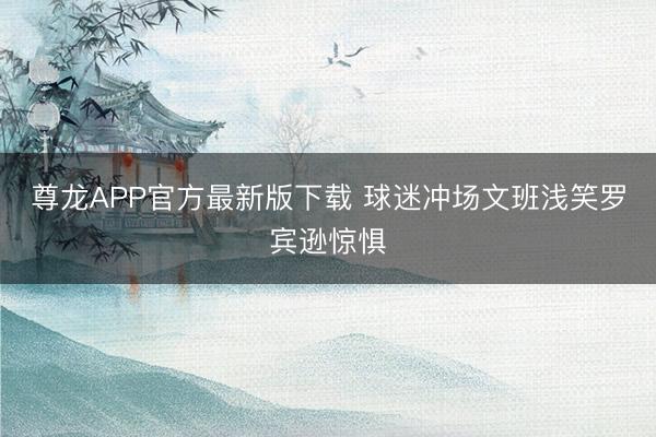 尊龙APP官方最新版下载 球迷冲场文班浅笑罗宾逊惊惧