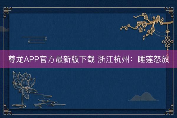 尊龙APP官方最新版下载 浙江杭州:睡莲怒放