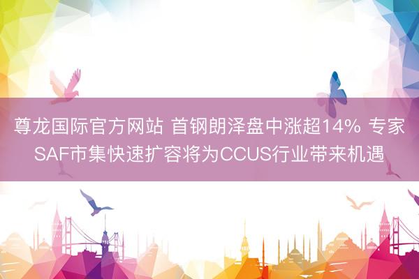 尊龙国际官方网站 首钢朗泽盘中涨超14% 专家SAF市集快速扩容将为CCUS行业带来机遇