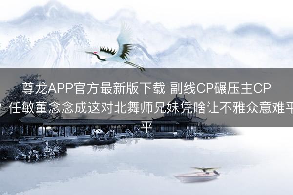 尊龙APP官方最新版下载 副线CP碾压主CP?任敏董念念成这对北舞师兄妹凭啥让不雅众意难平