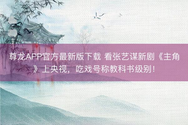 尊龙APP官方最新版下载 看张艺谋新剧《主角》上央视，吃戏号称教科书级别！