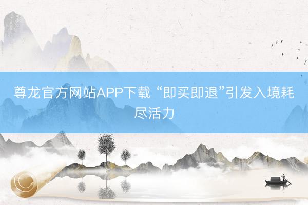 尊龙官方网站APP下载 “即买即退”引发入境耗尽活力
