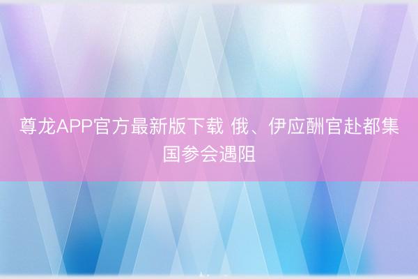 尊龙APP官方最新版下载 俄、伊应酬官赴都集国参会遇阻