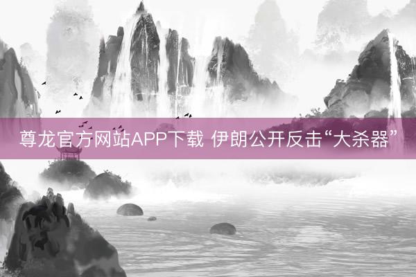 尊龙官方网站APP下载 伊朗公开反击“大杀器”
