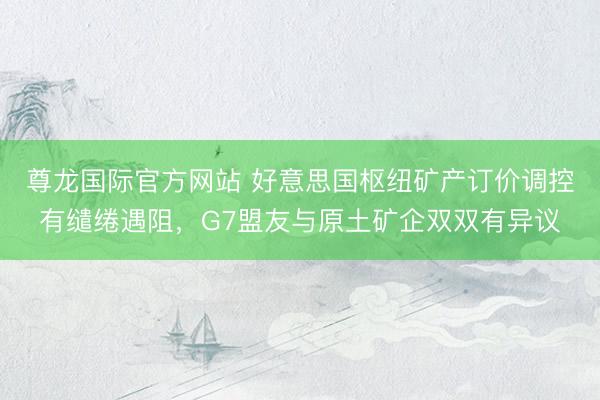 尊龙国际官方网站 好意思国枢纽矿产订价调控有缱绻遇阻,G7盟友与原土矿企双双有异议