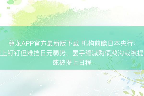 尊龙APP官方最新版下载 机构前瞻日本央行:加息板上钉钉但难挡日元弱势,罢手缩减购债鸿沟或被提上日程