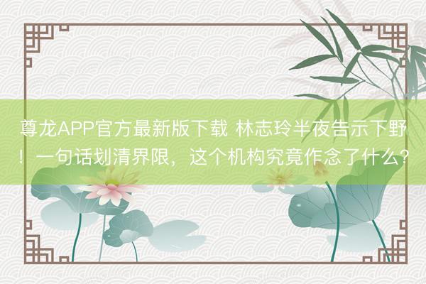 尊龙APP官方最新版下载 林志玲半夜告示下野!一句话划清界限,这个机构究竟作念了什么?